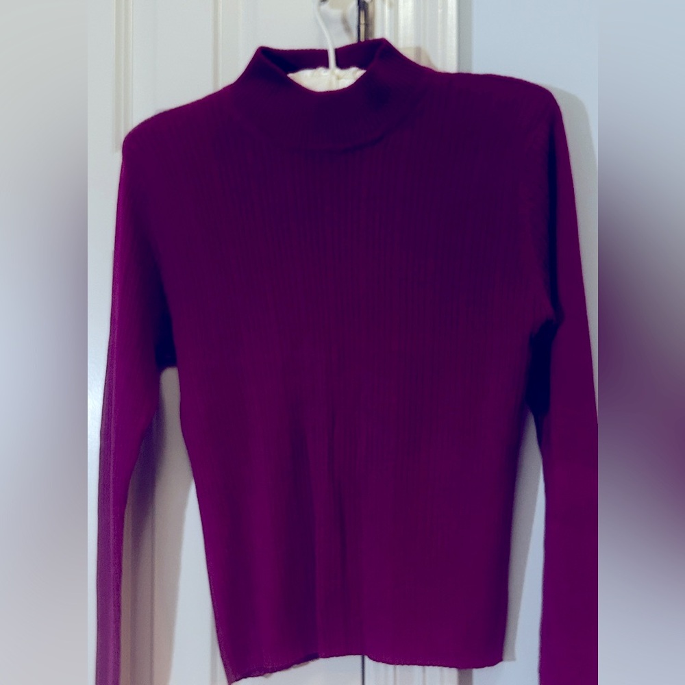 🎉HP🎉Liz Claiborne 100% SILK Turtleneck Sweater
Magenta  Petite Medium
